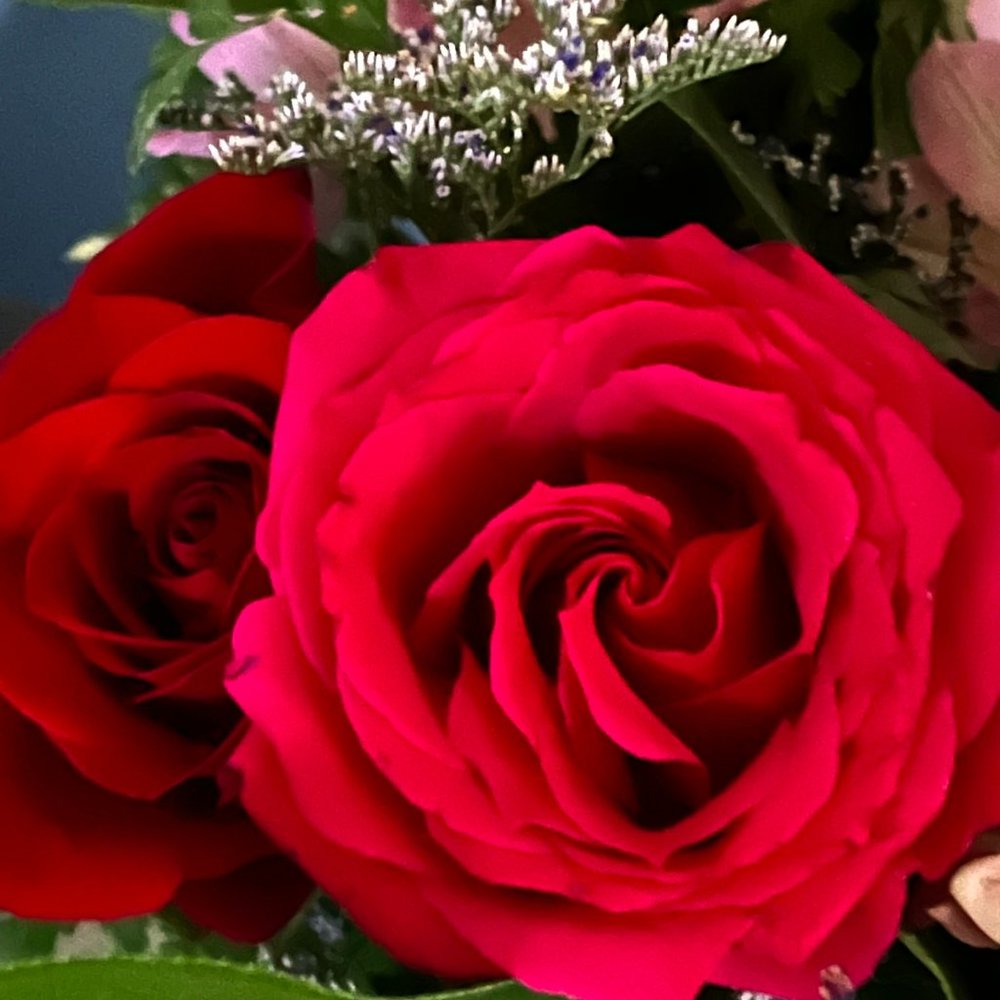 FREE SHIPPING ALWAYS;  5 star rating on all; BUNDLE UP 20% off 4 or more;